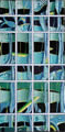 New York Reflections 3