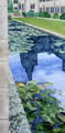 Nuffield College Water Lilies and Lichen